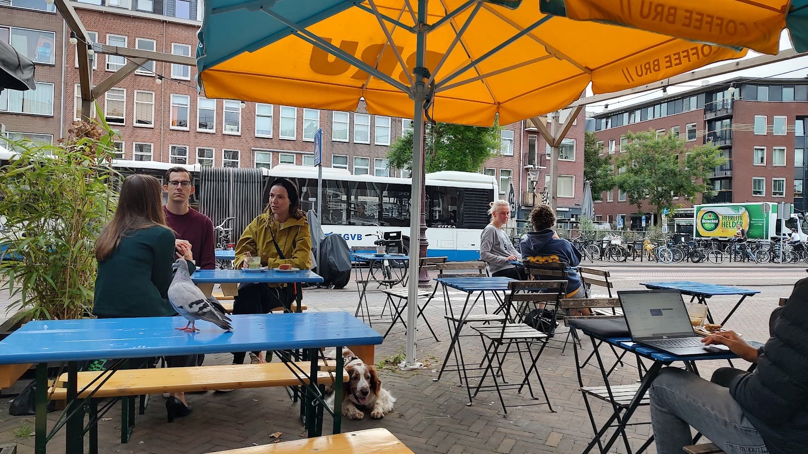 Coffee Bru (Beukenplein)