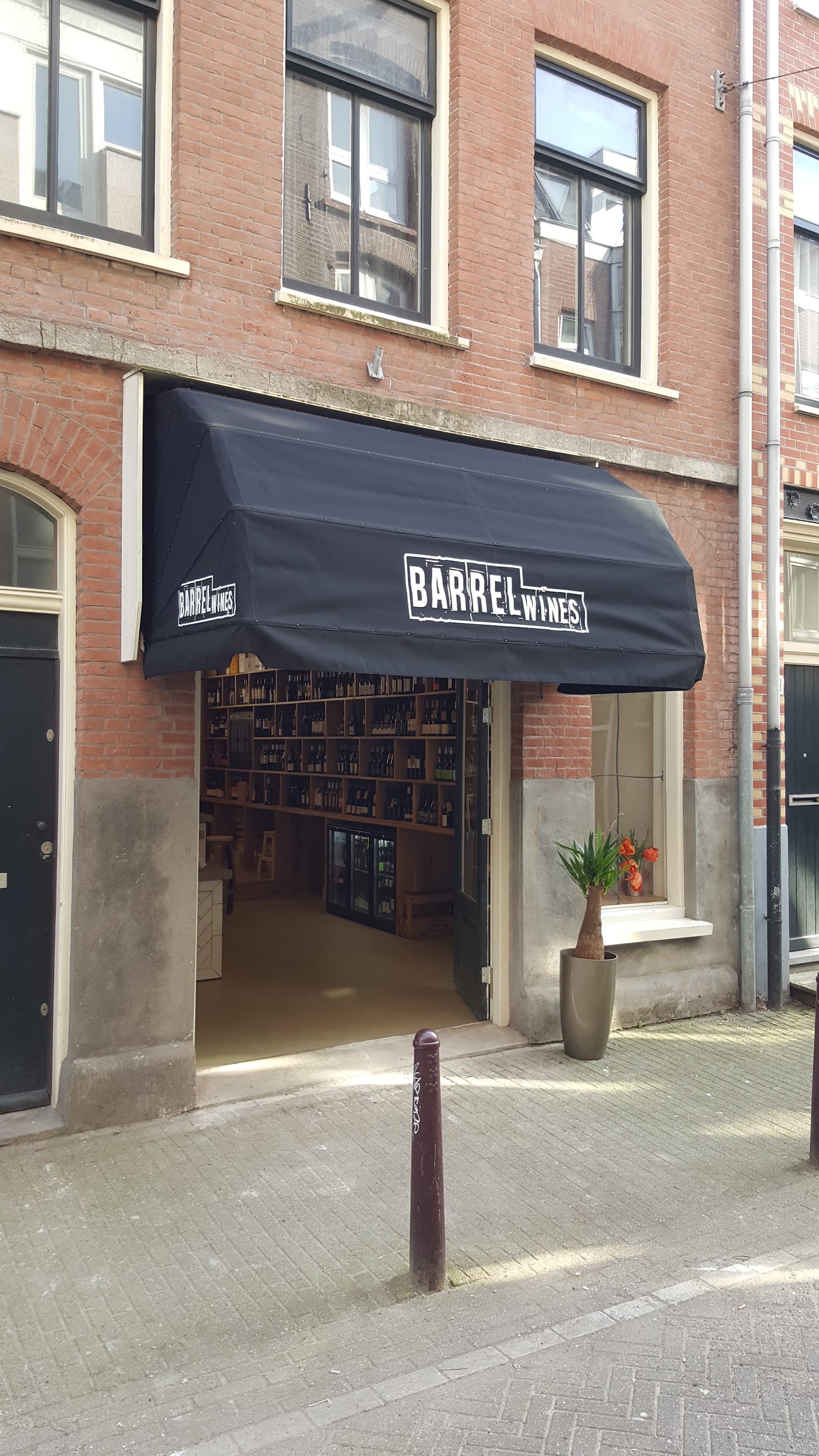 Rebel Wines
